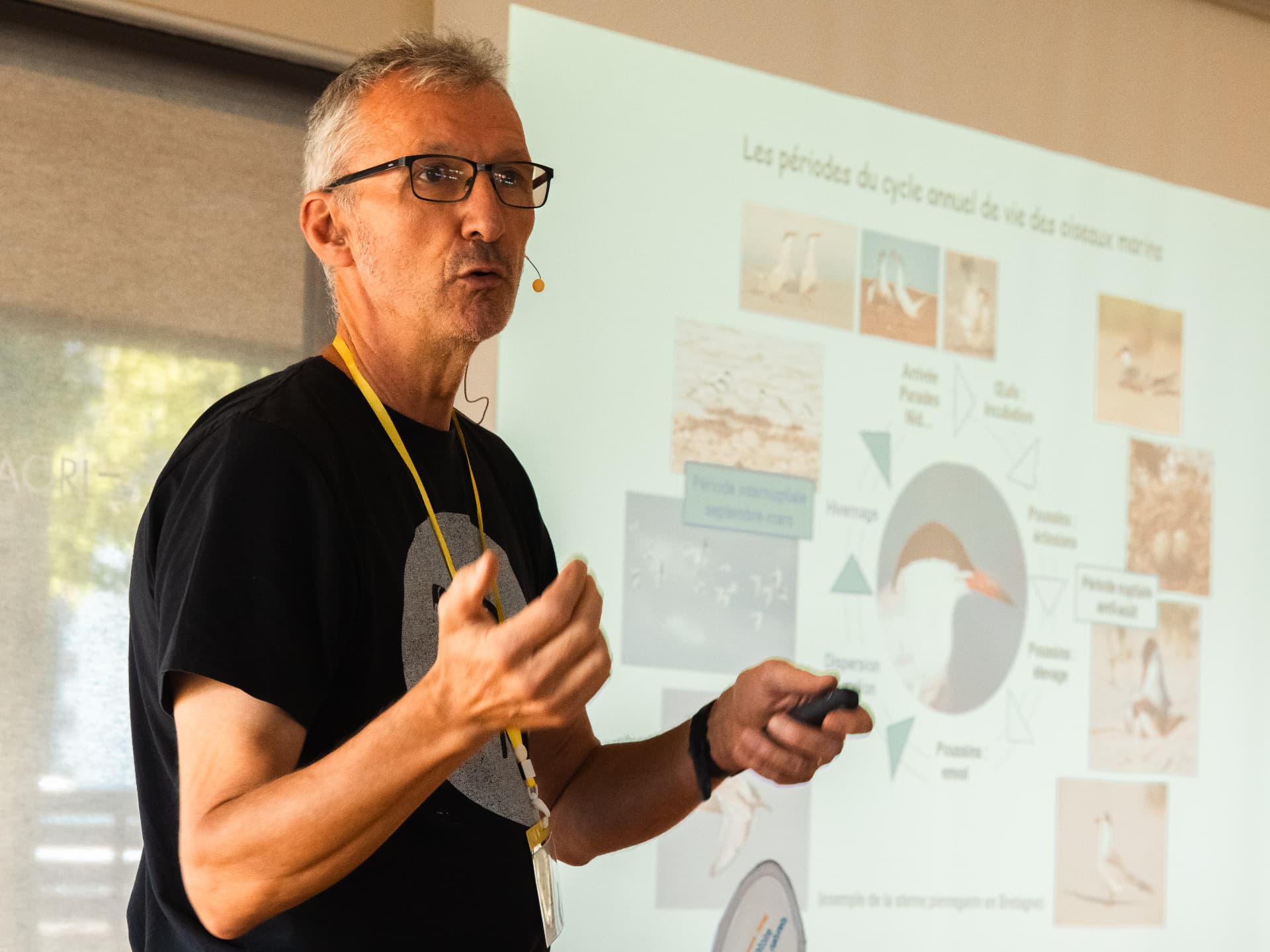 Conférencier devant un écran sur les oiseaux marins